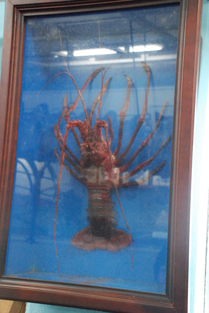 雲見くじら館 (33)