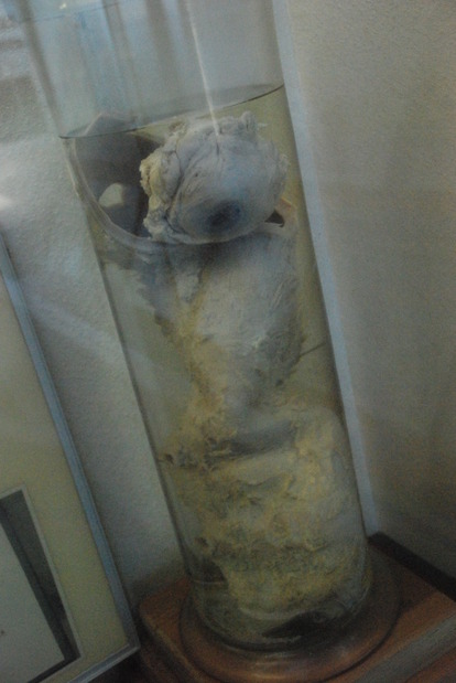 雲見くじら館 (24)