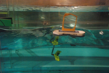 東海大海洋生物博物館 (32)