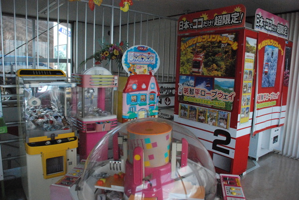 明智平ケーブルカー (12)