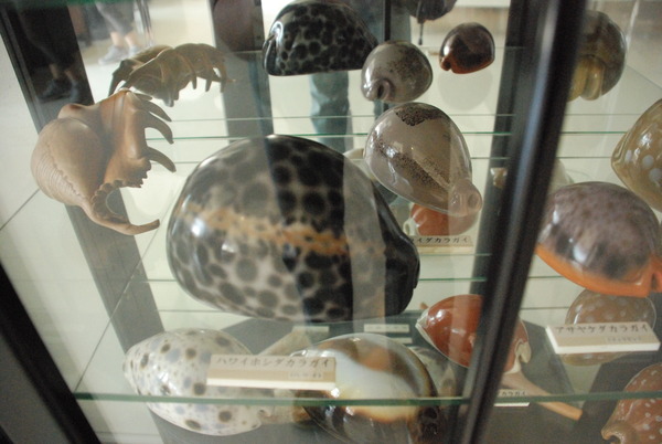 ぱれらめーる (4)