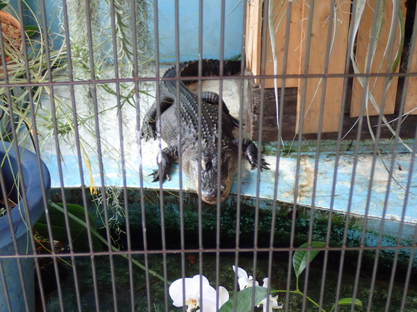 宇都宮動物園 (18)