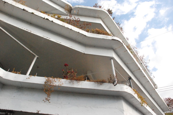 沢田マンション (35)