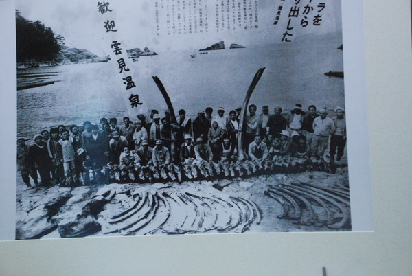 雲見くじら館 (17)