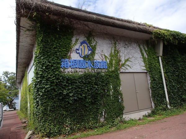 箱根園水族館 (102)