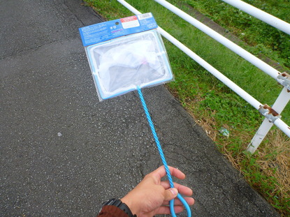 春木川 グッピー (1)