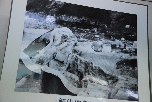 雲見くじら館 (25)