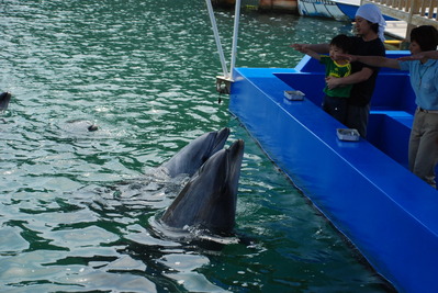 下田海中水族館 (37)