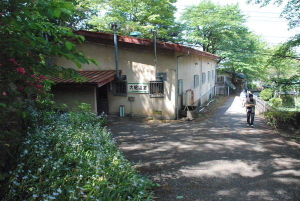 ジャパンスネークセンター (5)