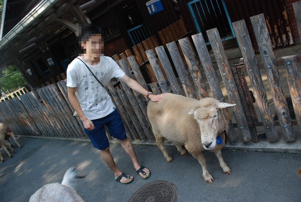 板橋区こども動物園 (10)