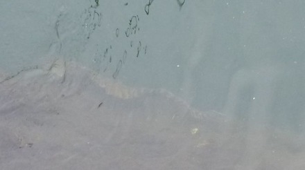 P1040706 - コピー