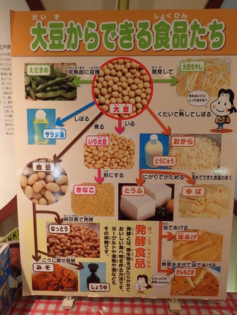 納豆博物館 (18)