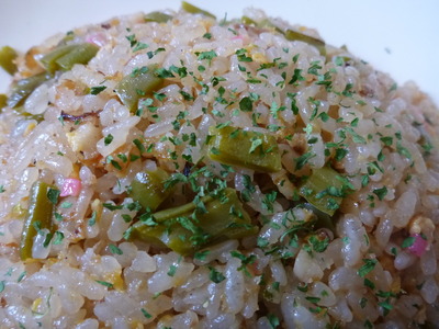 伊豆しゃぼてん公園 (36)