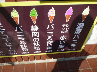 伊豆しゃぼてん公園 (43)