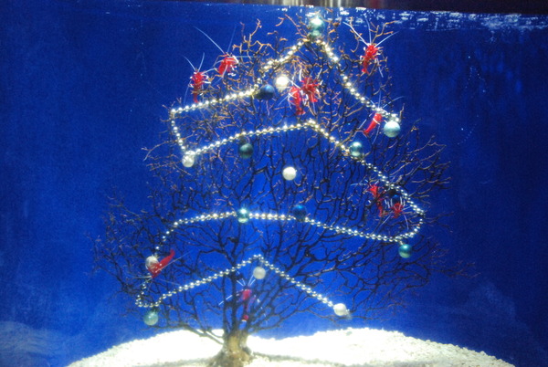 京急油壺マリンパーク (14)