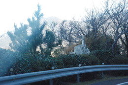 雲見彫刻ライン (11)