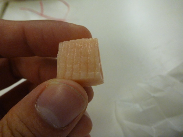 うめぼしキャラメル (5)