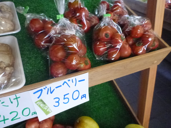 道の駅・箱根峠 (4)