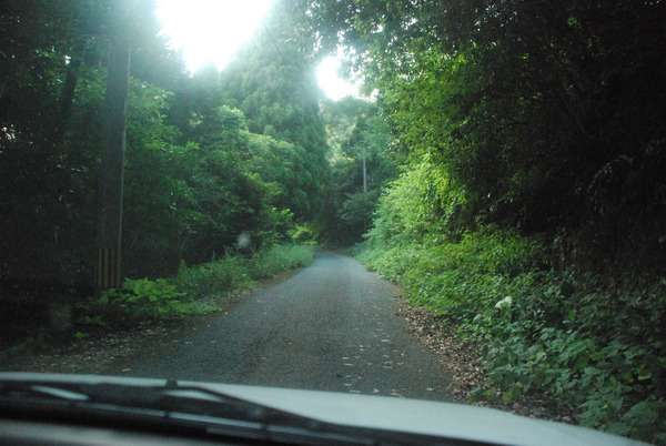 旧佐敷トンネル (2)