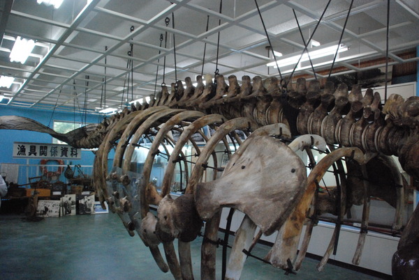 雲見くじら館 (34)