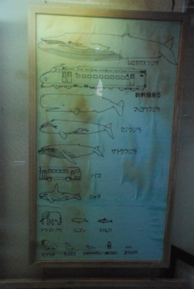 雲見くじら館 (12)