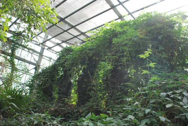 まぼろし博覧会 (12)