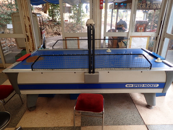 池田動物園 (43)