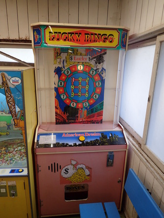 池田動物園 (37)