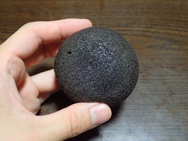 イカ墨カスター (13)