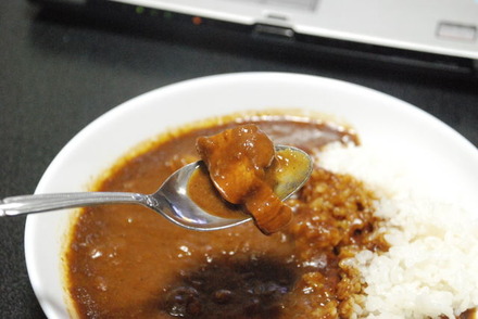 ワニタンカレー (1)