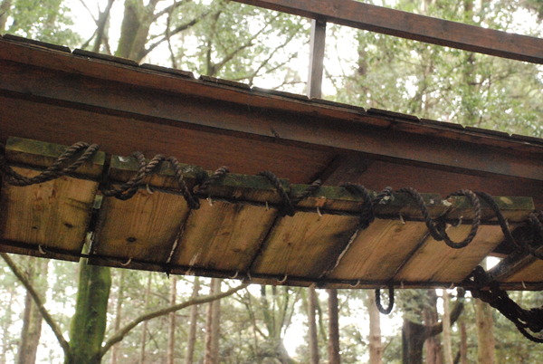 ツリーハウス (15)