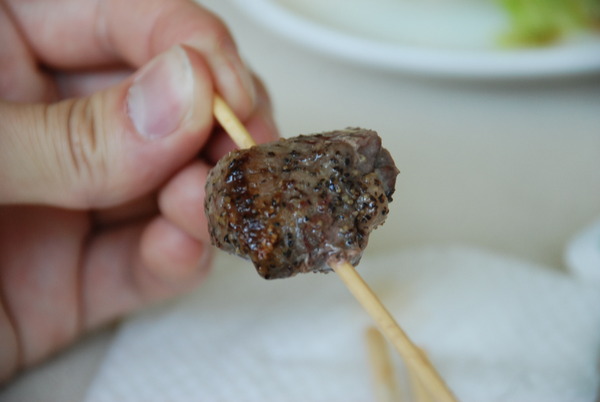 群馬サファリパーク (8)