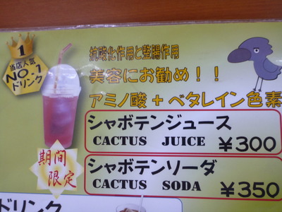 伊豆しゃぼてん公園 (49)