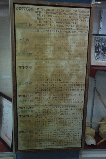 雲見くじら館 (13)