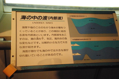 東海大海洋生物博物館 (6)