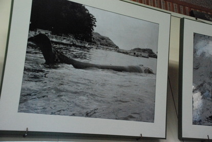 雲見くじら館 (16)