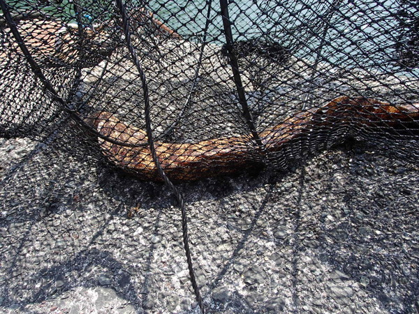 外浦港 釣り (30)