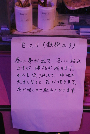 鉄剣タロー (13)