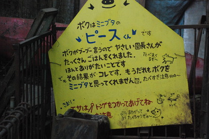 宮ヶ瀬コッコランドパーク (22)