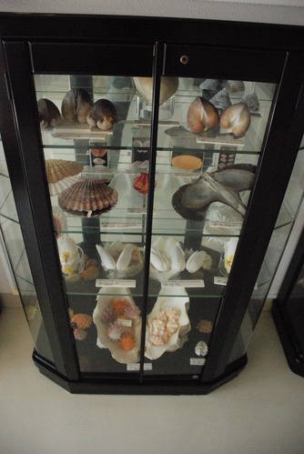 ぱれらめーる (3)