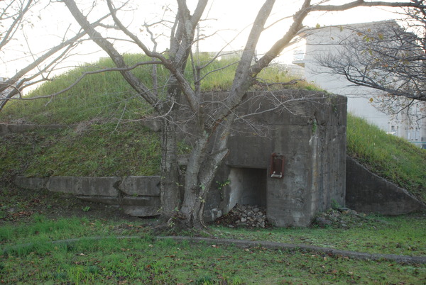 第21海軍航空隊 (9)