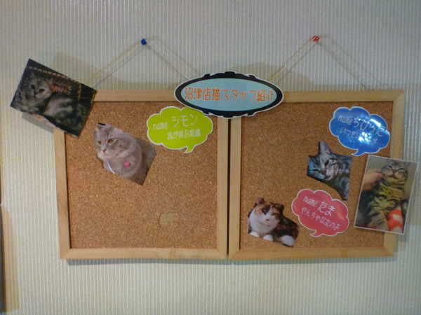 メディアカフェポパイ沼津店 (12)