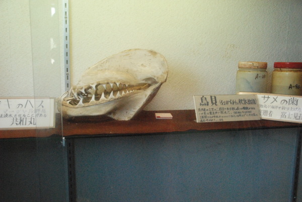 雲見くじら館 (8)