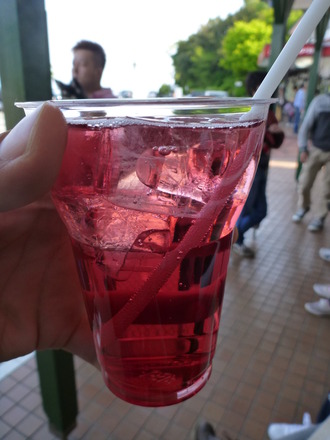 伊豆しゃぼてん公園 (47)