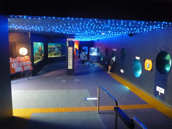 箱根園水族館 (20)