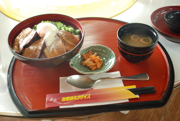 池田湖パラダイス (12)