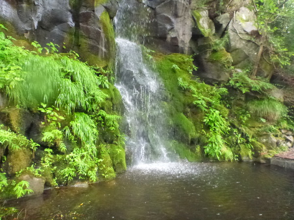 ユネッサン (49)