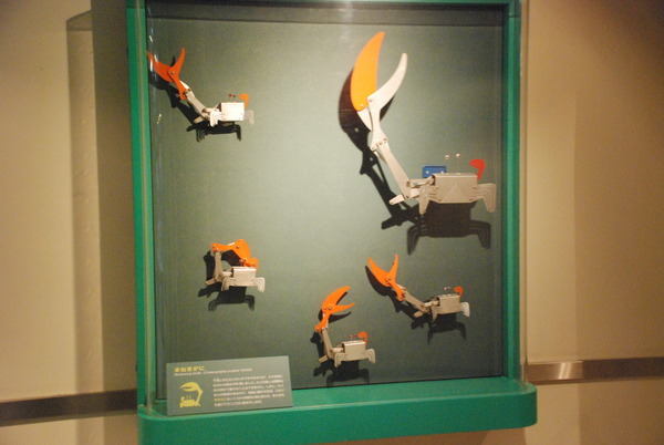 東海大海洋生物博物館 (21)