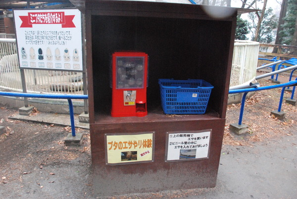 狭山市立智光山公園こども動物園 (12)
