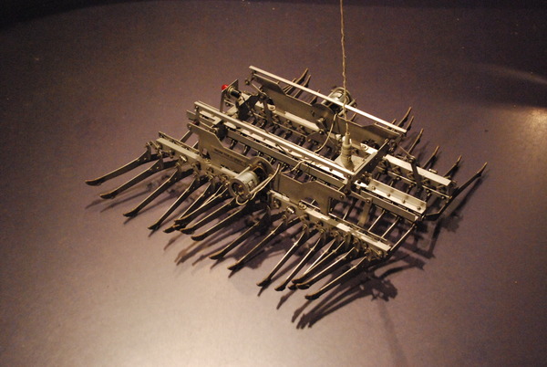 東海大海洋生物博物館 (26)